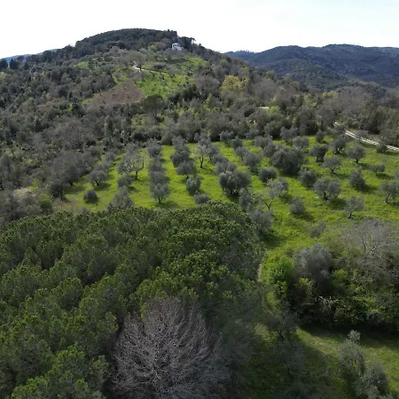 Casa Poggio Agliai Basso Holiday home